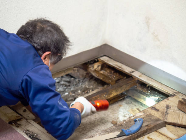 Crawl Space Mold Removal in Troy, TX