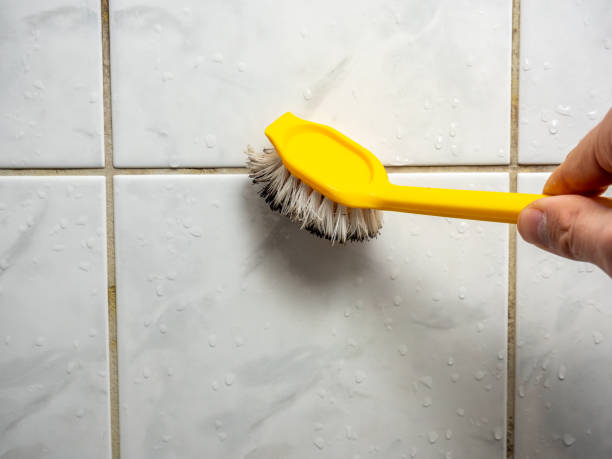 Best Mold Damage Repair  in Troy, TX