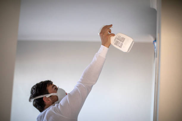 Professional Mold Removal in Troy, TX