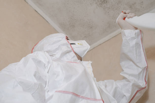 Best Mold Remediation Experts  in Troy, TX