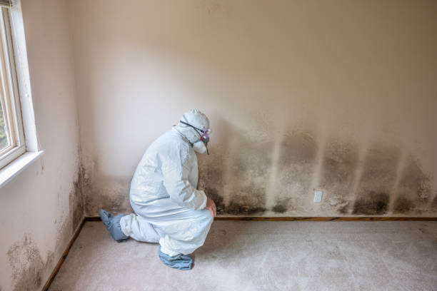 Water Damage Restoration in Troy, TX