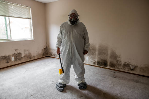 Best Mold Remediation Services  in Troy, TX