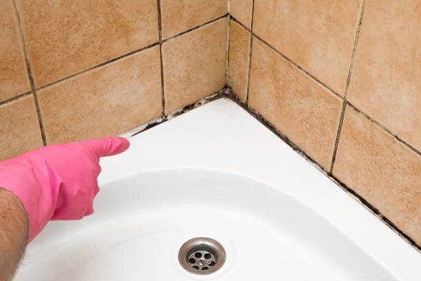 Best Mold Cleaning Services  in Troy, TX